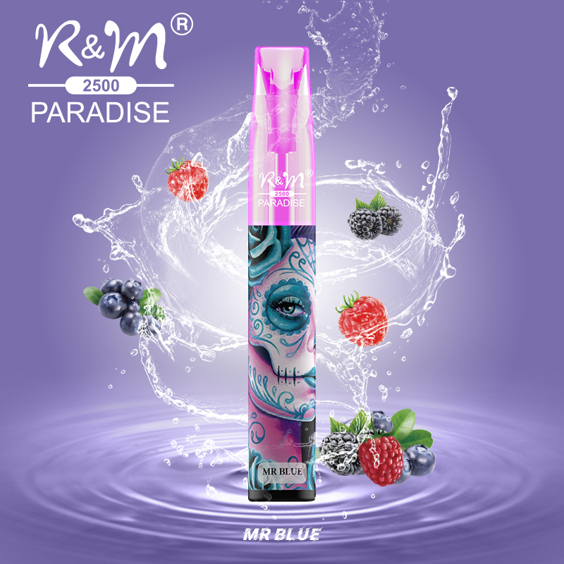 R&M PARADISE MINI China Original OEM LOGO Mesh Coil Disposable Vape