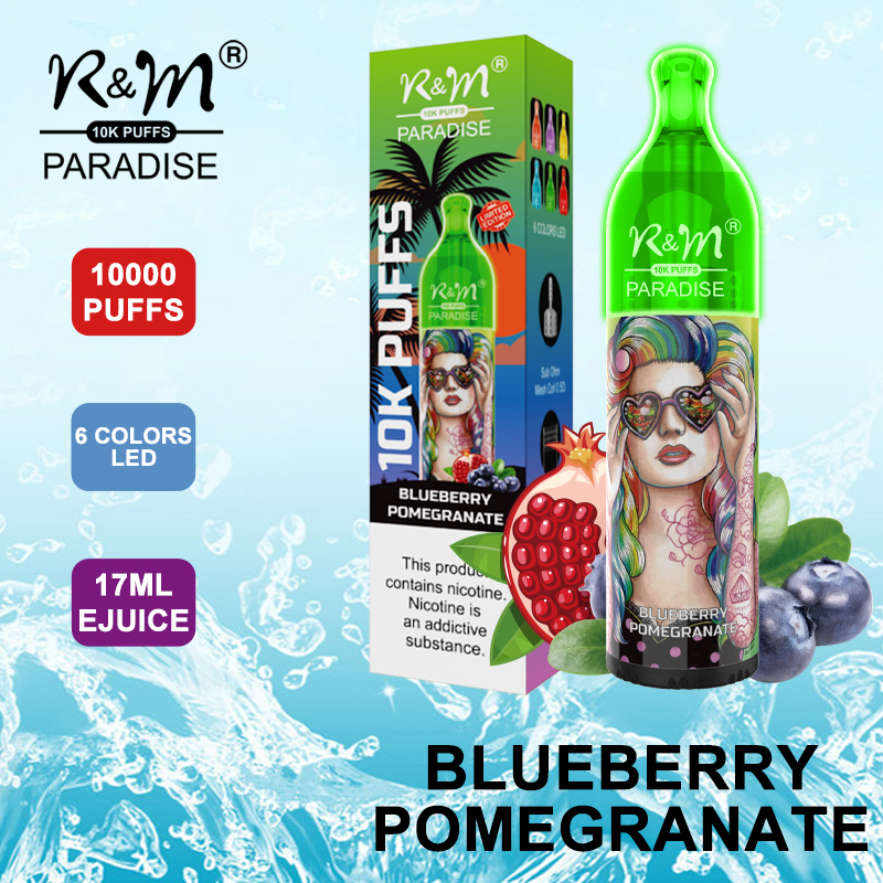 R&M PARADISE Israel 10000 Puffs Mesh Coil Disposable Vape|Wholesale Disposable Vape