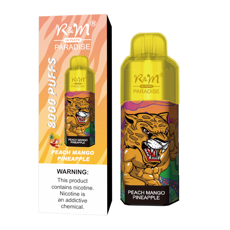 Original Factory Wholesale Mesh Coil RGB Light 2% 5% Salt Nicotine Disposable Vape 8K Puffs Randm R&M Paradise