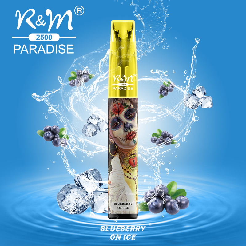 R&M PARADISE Canada Best Selling Mesh Coil Disposable Vape|Wholesale Vape Pen