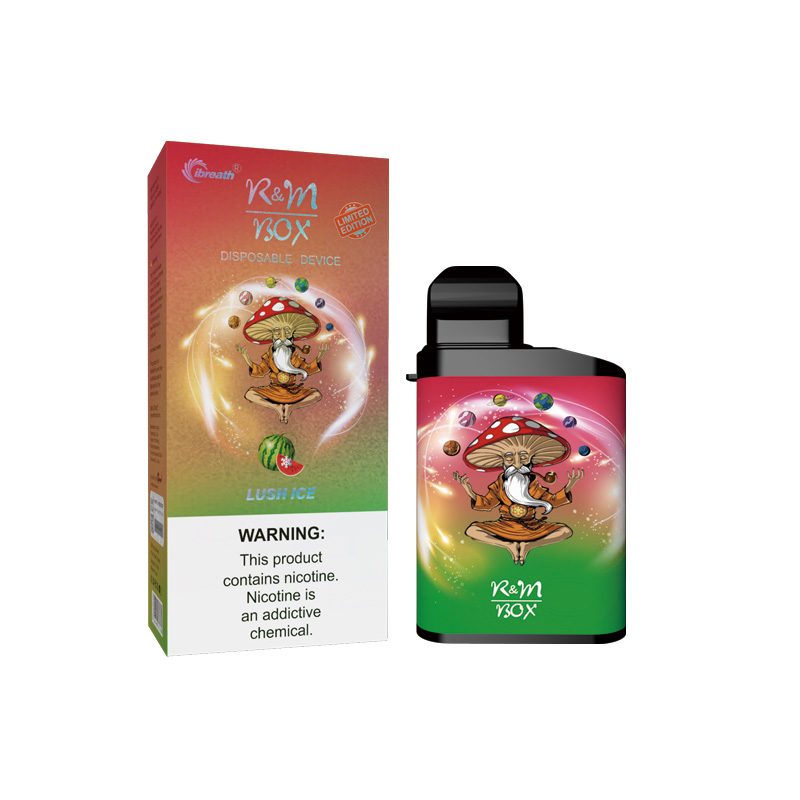 R&M BOX 5500 Puffs|Wholesale Disposable Vape